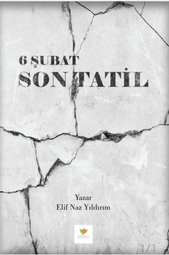 6 Şubat Son Tatil - Kitapiks.com