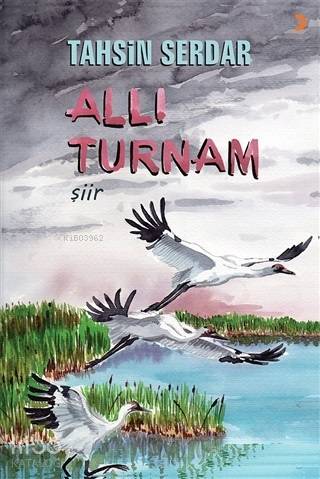Allı Turnam - Kitapiks.com