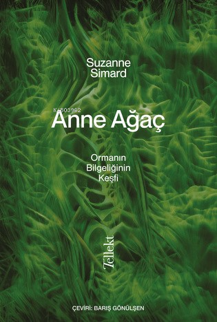 Anne Ağaç;Ormanın Bilgeliğin Keşfi - Kitapiks.com