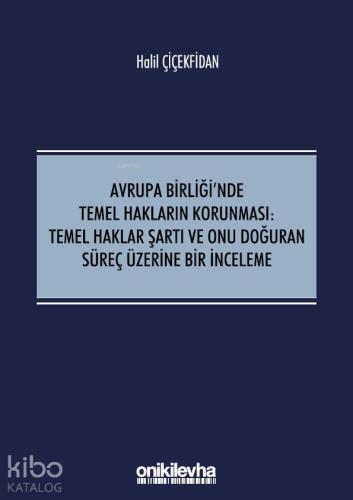 Avrupa Birliği'nde Temel Hakların Korunması:Temel Haklar Şartı ve Onu 