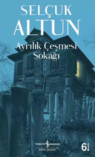 Ayrılık Çeşmesi Sokağı - Kitapiks.com