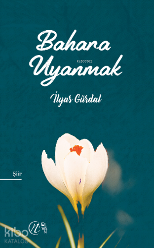 Bahara Uyanmak - Kitapiks.com
