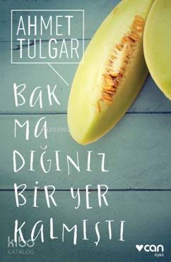 Bakmadığınız Bir Yer Kalmıştı - Kitapiks.com
