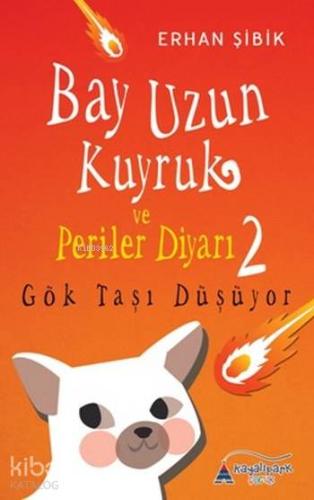 Bay Uzun Kuyruk ve Periler Diyarı 2; Gök Taşı Düşüyor - Kitapiks.com