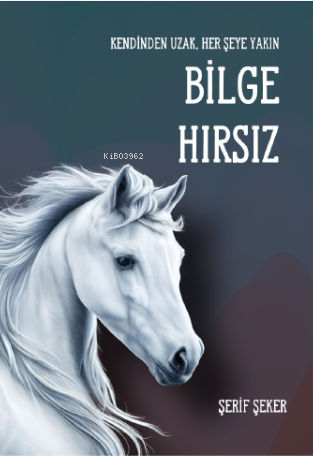 Bilge Hırsız - Kitapiks.com
