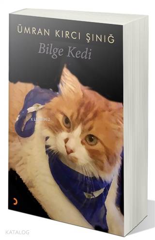 Bilge Kedi - Kitapiks.com