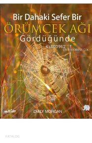 Bir Dahaki Sefer Örümcek Ağı Gördüğünde - Kitapiks.com