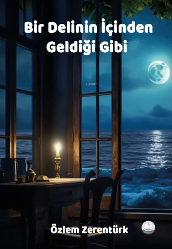 Bir Delinin İçinden Geldiği Gibi - Kitapiks.com