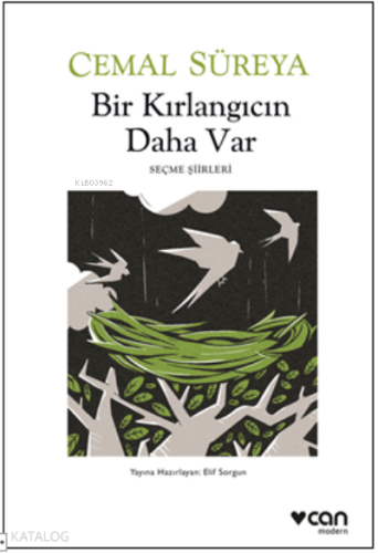 Bir Kırlangıcın Daha Var - Kitapiks.com