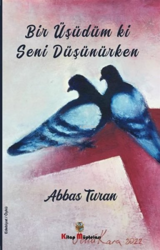 Bir Üşüdüm ki Seni Düşünürken - Kitapiks.com