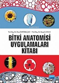 Bitki Anatomisi Ve Uygulamaları Kitabı - Kitapiks.com