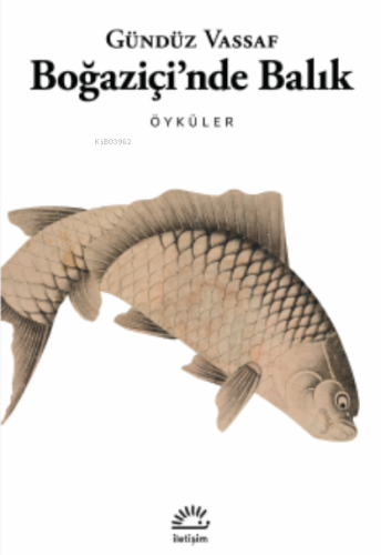 Boğaziçi'nde Balık Öyküler - Kitapiks.com