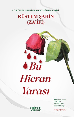 Bu Hicran Yarası - Kitapiks.com