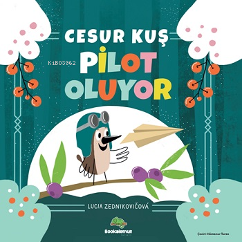 Cesur Kuş Pilot Oluyor - Kitapiks.com
