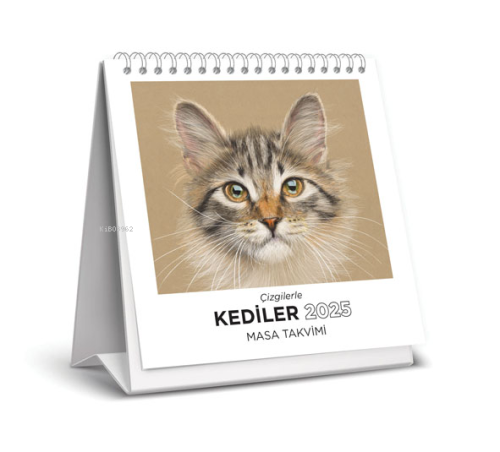Çizgilerle Kediler 2025 Masa Takvimi - Kitapiks.com