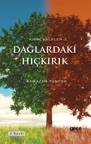 Dağlardaki Hıçkırık;Kırık Kalpler 3 - Kitapiks.com