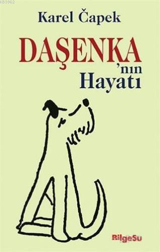 Daşenka'nın Hayatı - Kitapiks.com