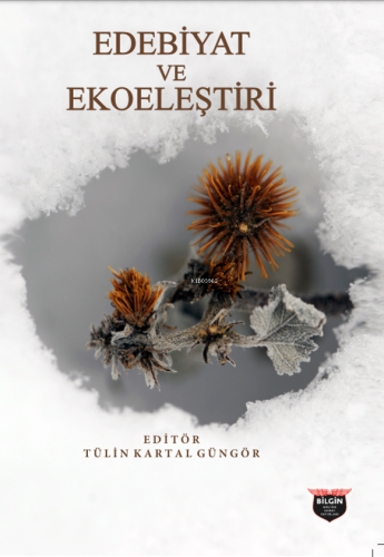 Edebiyat ve Ekoeleştiri - Kitapiks.com