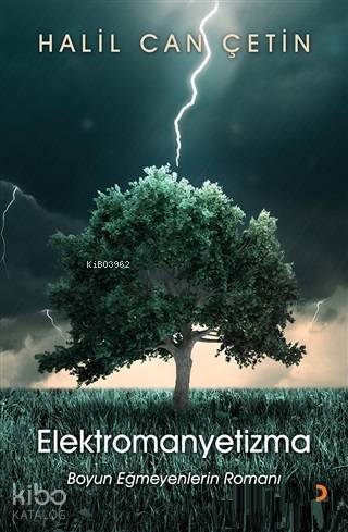 Elektromanyetizma - Kitapiks.com