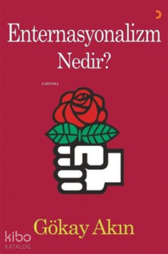 Enternasyonalizm Nedir? - Kitapiks.com