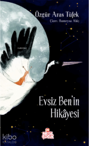 Evsiz Ben’in Hikâyesi - Kitapiks.com