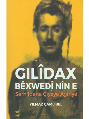 GilîdaxBêxwedîNîne - Kitapiks.com
