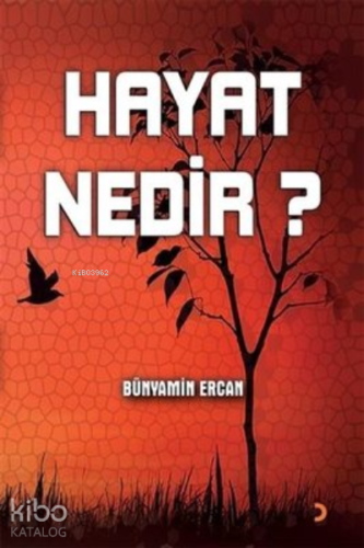 Hayat Nedir? - Kitapiks.com