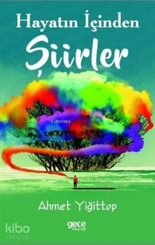 Hayatın İçinden Şiirler - Kitapiks.com
