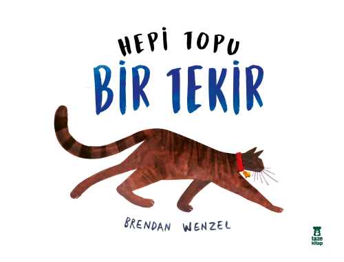 Hepi Topu Bir Tekir - Kitapiks.com