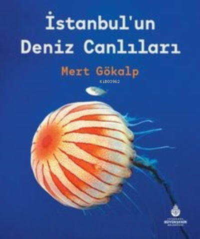 İstanbul’un Deniz Canlıları - Kitapiks.com