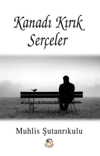 Kanadı Kırık Serçeler - Kitapiks.com