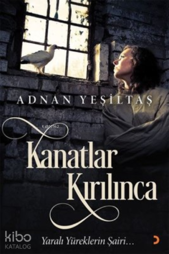 Kanatlar Kırılınca - Kitapiks.com