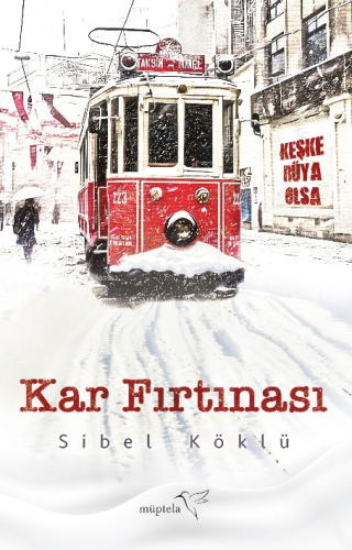 Kar Fırtınası - Kitapiks.com