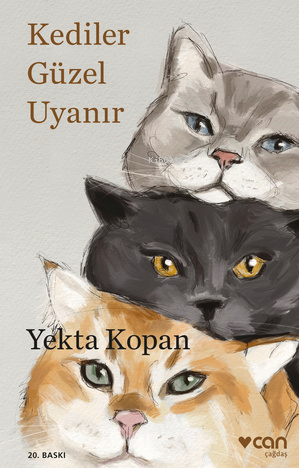 Kediler Güzel Uyanır - Kitapiks.com