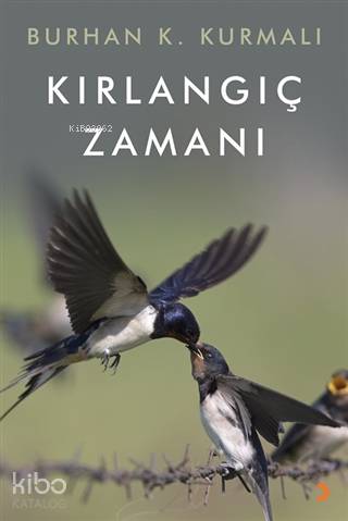Kırlangıç Zamanı - Kitapiks.com