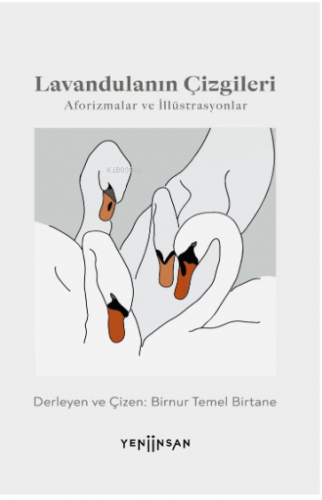 Lavandulanın Çizgileri - Kitapiks.com