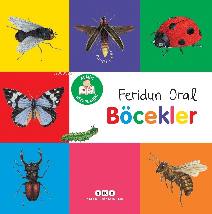 Minik Kitaplarım – Böcekler - Kitapiks.com