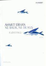 Ne Balık Ne De Kuş - Kitapiks.com
