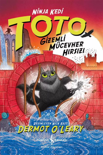 Ninja Kedi Toto – Gizemli Mücevher Hırsızı - Kitapiks.com