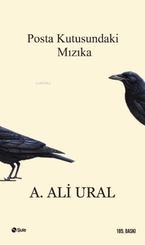 Posta Kutusundaki Mızıka - Kitapiks.com