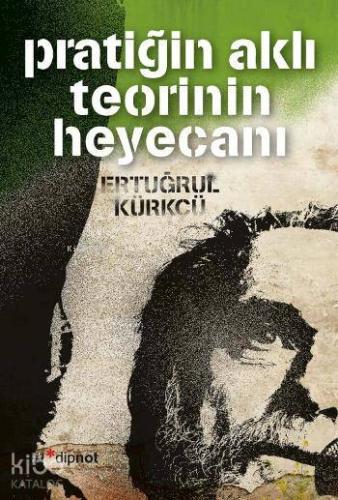 Pratiğin Aklı Teorinin Heyecanı - Kitapiks.com