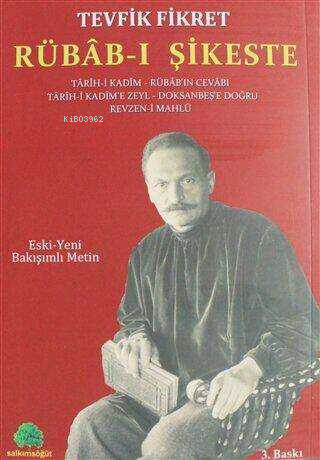 Rübab-ı şikeste