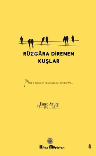 Rüzgara Direnen Kuşlar - Kitapiks.com