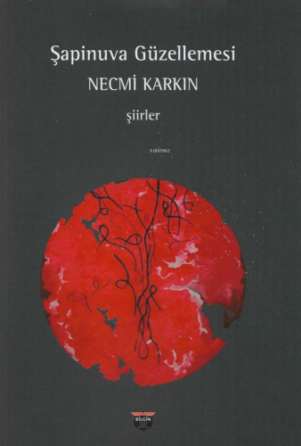 Şapinuva Güzellemesi - Kitapiks.com