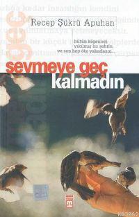 Sevmeye Geç Kalmadın - Kitapiks.com