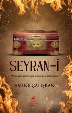 Seyran-i ;Üstesinden Gelmek İçin Mutlaka Bir Yol Bulunur - Kitapiks.co