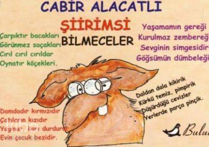Şiirimsi Bilmeceler; Mizah Dizisi - Kitapiks.com