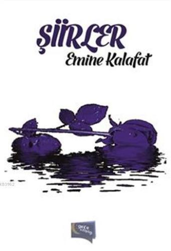 Şiirler - Kitapiks.com