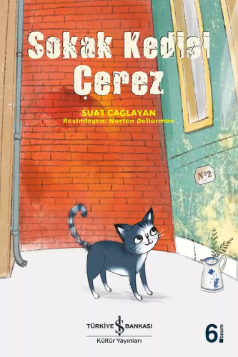 Sokak Kedisi Çerez - Kitapiks.com