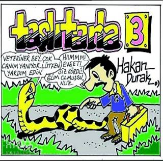 Taşlı Tarla 3